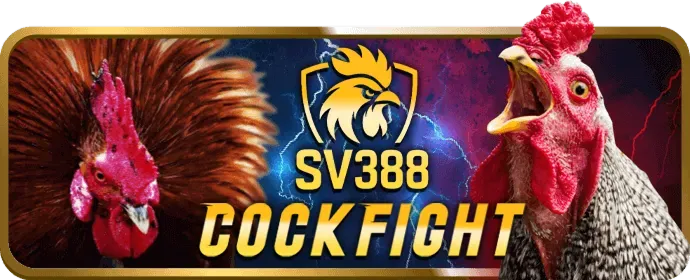 Hình ảnh tượng trưng cho chính sách cookie của kubet77